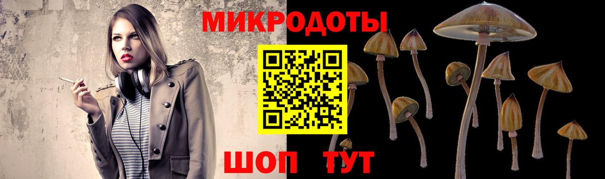 Галлюциногенные грибы MAGIC MUSHROOMS Большой Камень